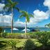 Suite St. John at Gallows Point Resort in St. John with ocean view, palm trees, and lush tropical gardens