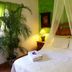 The Mexican Inn in Cabo San Lucas bedroom with canopy bed, white linens, and a potted palm