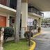 Hole Inn the Wall Hotel - Fort Walton Beach - Sunset Plaza entrance and driveway with van