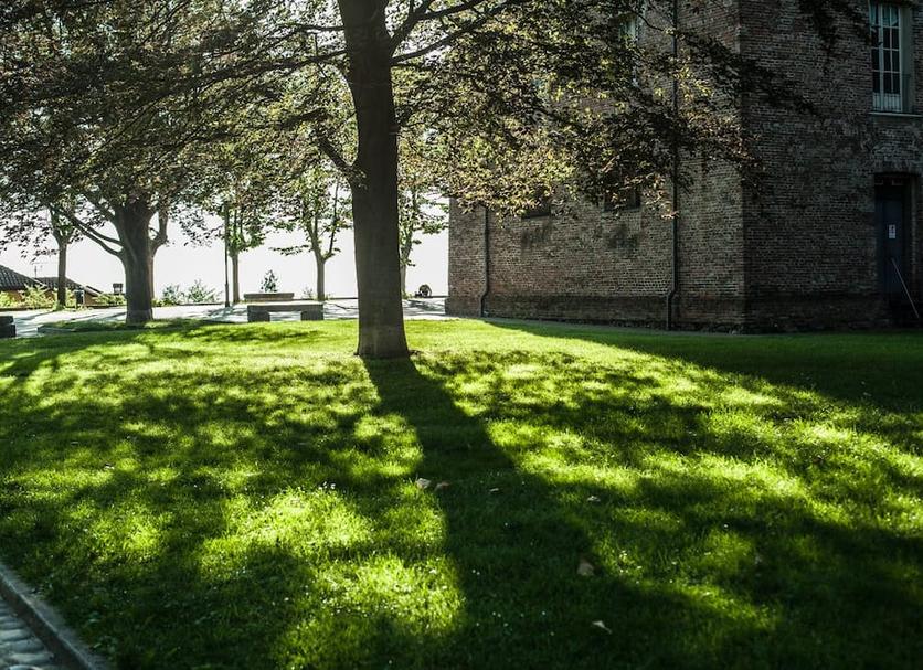 Outdoors view Photo