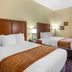 Comfort Inn and Suites North Aurora - Naperville guest room with two double beds and window light