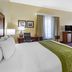 Comfort Inn and Suites North Aurora - Naperville guest room with bed, desk, TV, and wardrobe