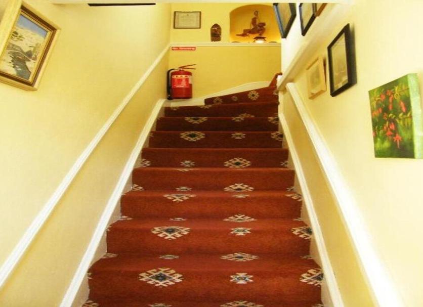 Stairs Photo