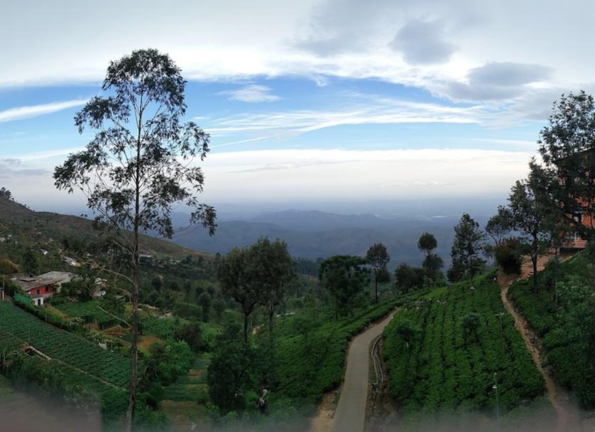 Outdoors view Photo