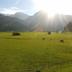 Outdoors view