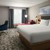 Hilton Garden Inn Richmond South/Southpark guest room with king bed, desk, chair and window seating in Colonial Heights