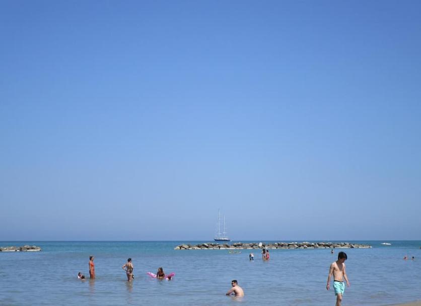 Other Photo