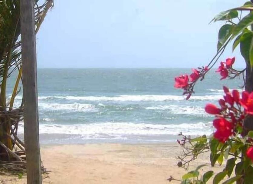 Beach Photo