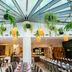 ibis Antananarivo Ankorondrano restaurant with hanging plants and set dining tables in Antananarivo