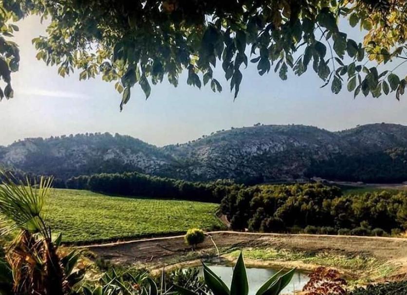 Outdoors view Photo