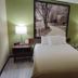 Super 8 by Wyndham Youngstown/Austintown room with queen bed, bedside lamps, and wall art in Youngstown