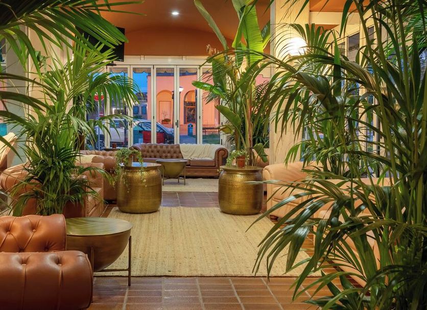Hotel Portofino Jesolo lobby with indoor palms, leather seating, and glass doors to terrace