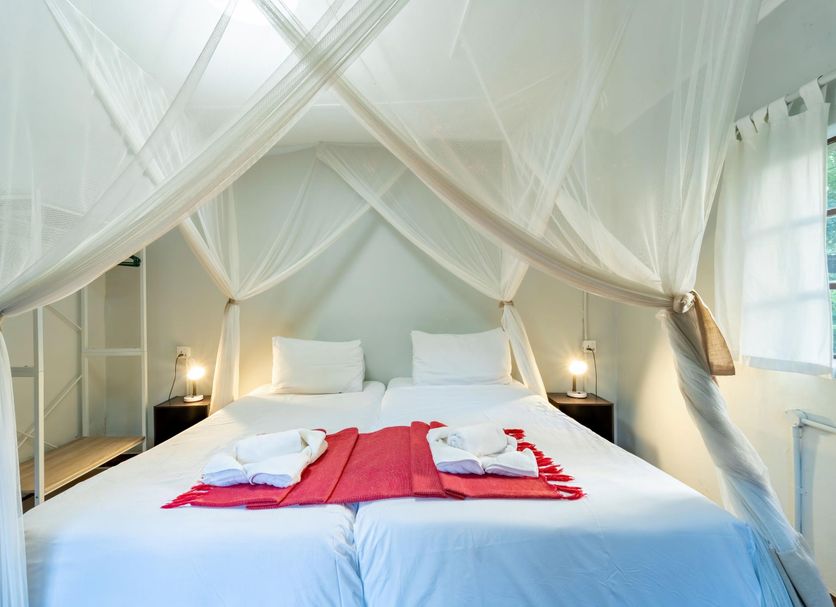Shoestrings Backpackers Lodge Vic Falls bedroom with canopy bed in Victoria Falls