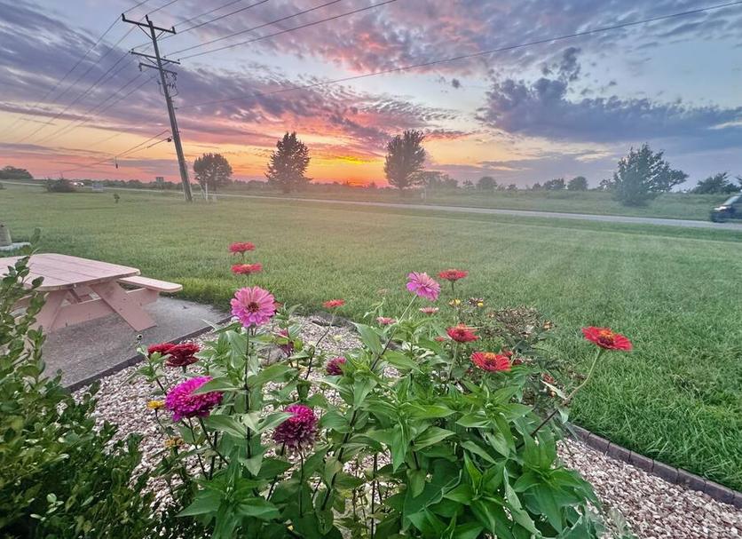 Outdoors view Photo