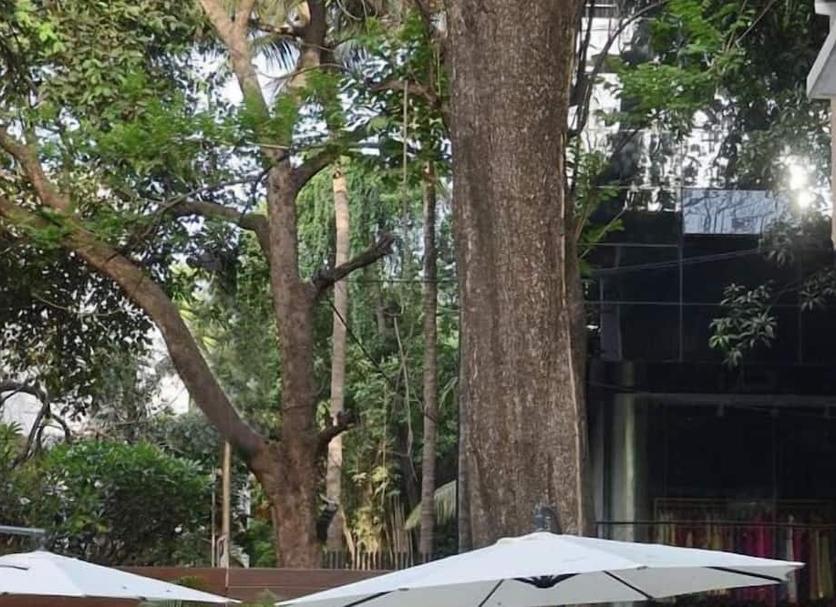Outdoors view Photo