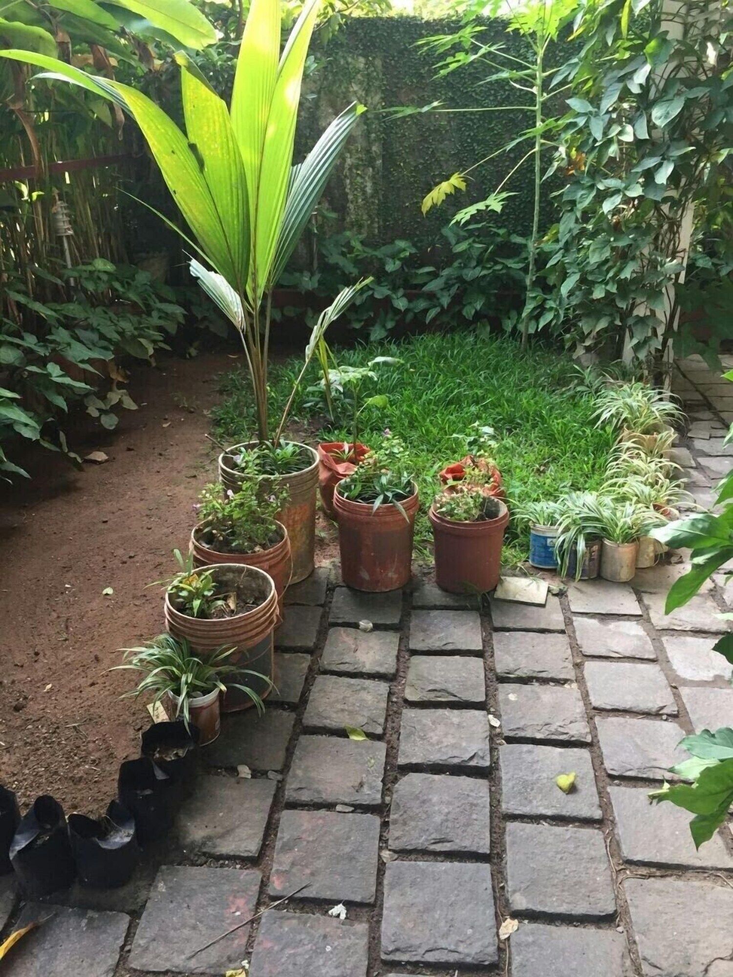 Outdoors view Photo