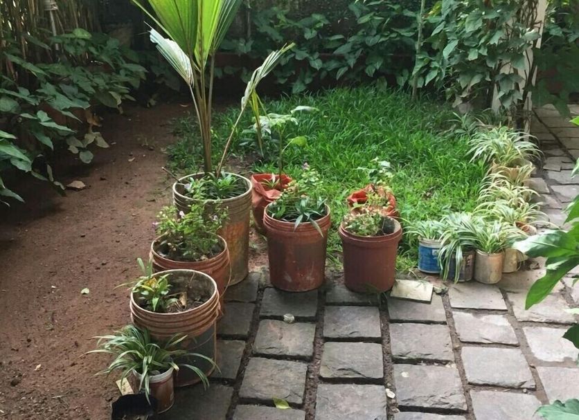 Outdoors view Photo