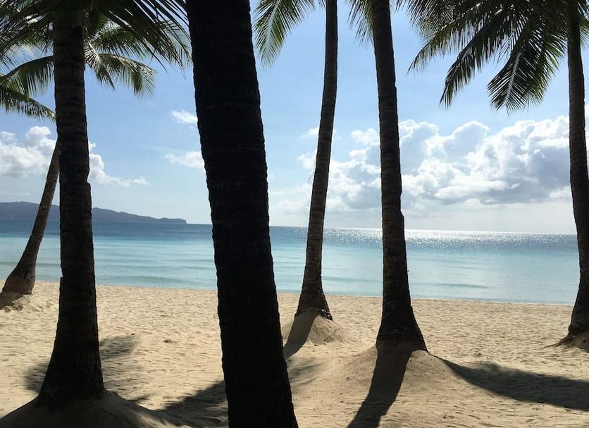 Beach Photo
