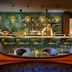 The Chancery Hotel Dublin bar with backlit bottles, green stools and a bartender behind the counter