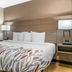 Red Roof Inn Detroit-Rochester Hills/Auburn Hills room with king bed and bedside lamps in Rochester Hills