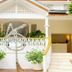 Cheval Blanc St-Barth in Gustavia: tropical hotel courtyard with white railings, potted plants, and stairs