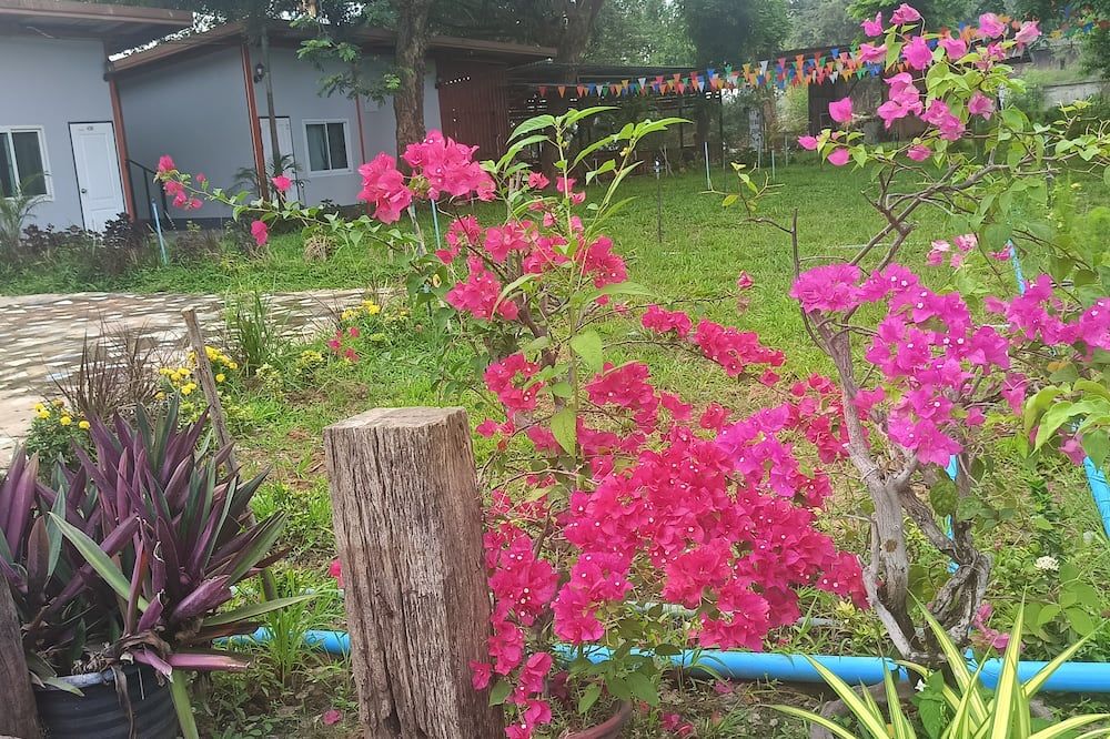 Outdoors view