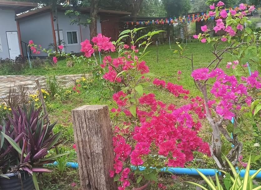 Other Photo