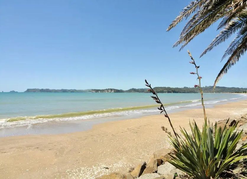 Beach Photo