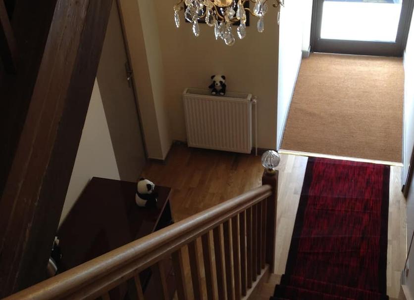 Stairs Photo