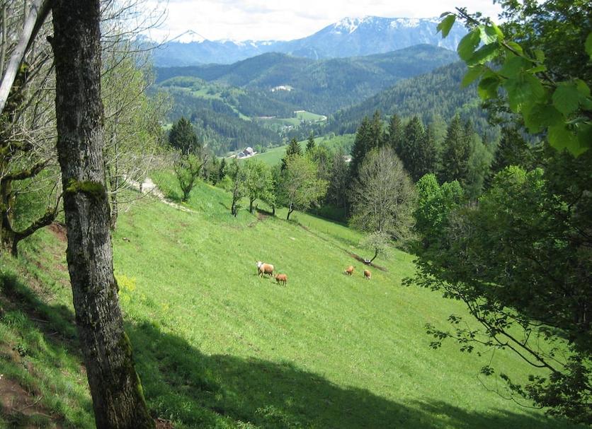 Outdoors view Photo
