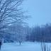 Outdoors view