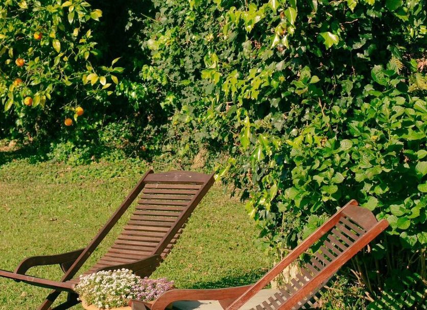 Hotel Palacio La Casona de Cerrazo in Cerrazo: two wooden lounge chairs in a garden