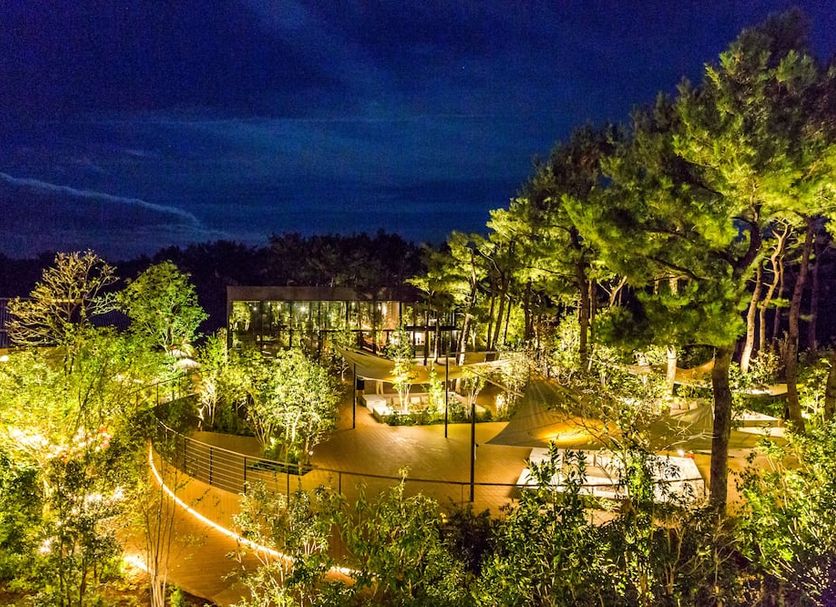 Phoenix Seagaia Ocean Tower in Miyazaki, lit garden terrace with trees and outdoor seating at night