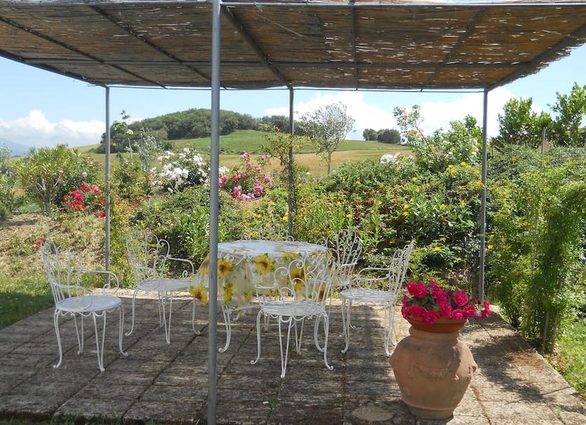Patio Photo