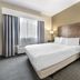 Best Western Brockport Inn & Suites guest room with king bed, window light, and bedside lamps in Brockport