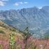 Natyral Razma Resort in Razem with mountain valley views and wildflowers