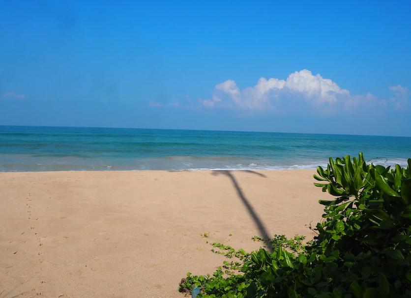 Beach Photo