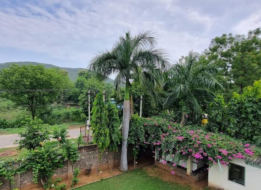 Outdoors view Photo