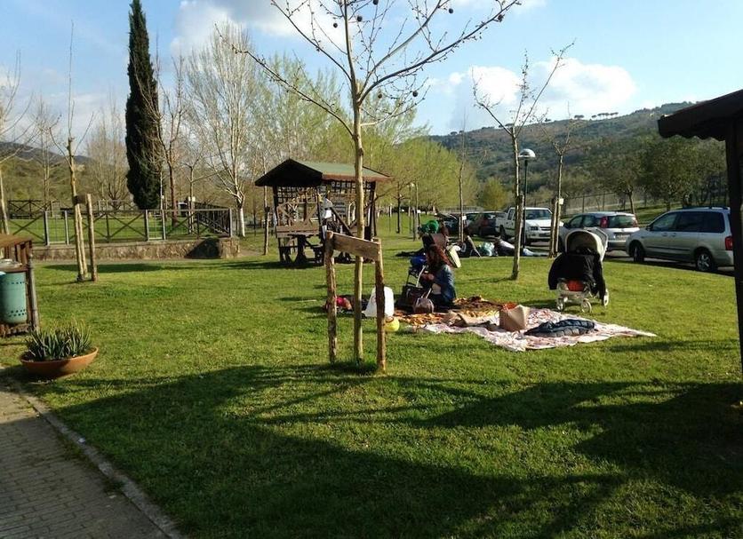 Other Photo