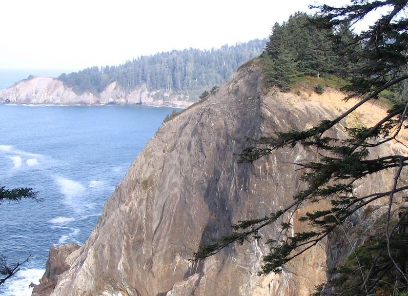 Other Photo