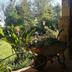 Outdoors view
