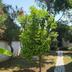 Outdoors view