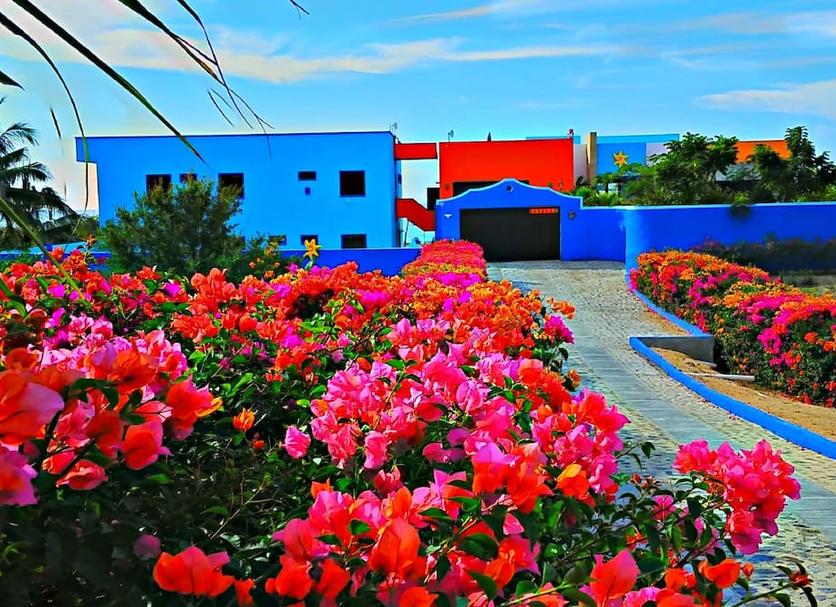 Outdoors view Photo