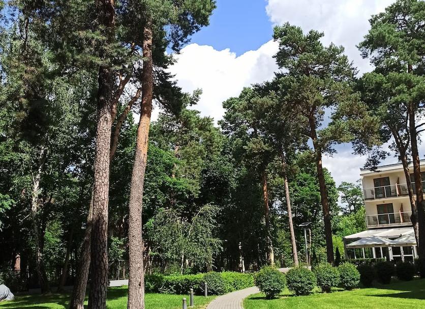 Outdoors view Photo