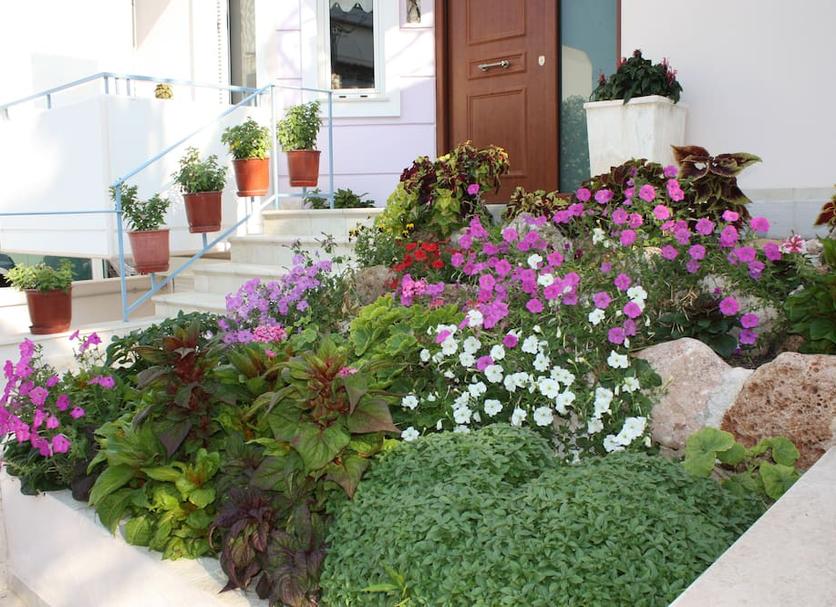 Outdoors view Photo