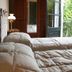 Hotel Beltran in Colonia del Sacramento, guest room with twin beds and balcony overlooking greenery