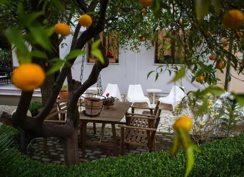 Patio Photo