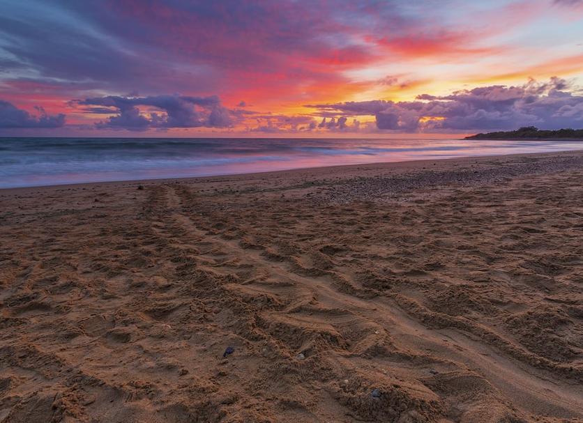 Beach Photo