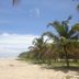 Achayans Homestay Mararikulam in Alappuzha with sandy beach and palm trees along the shoreline