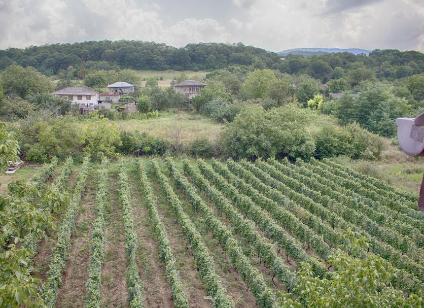 Outdoors view Photo